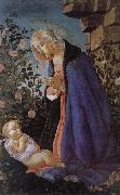 Sandro Botticelli Our Lady of the Son and the sleeping oil painting on canvas